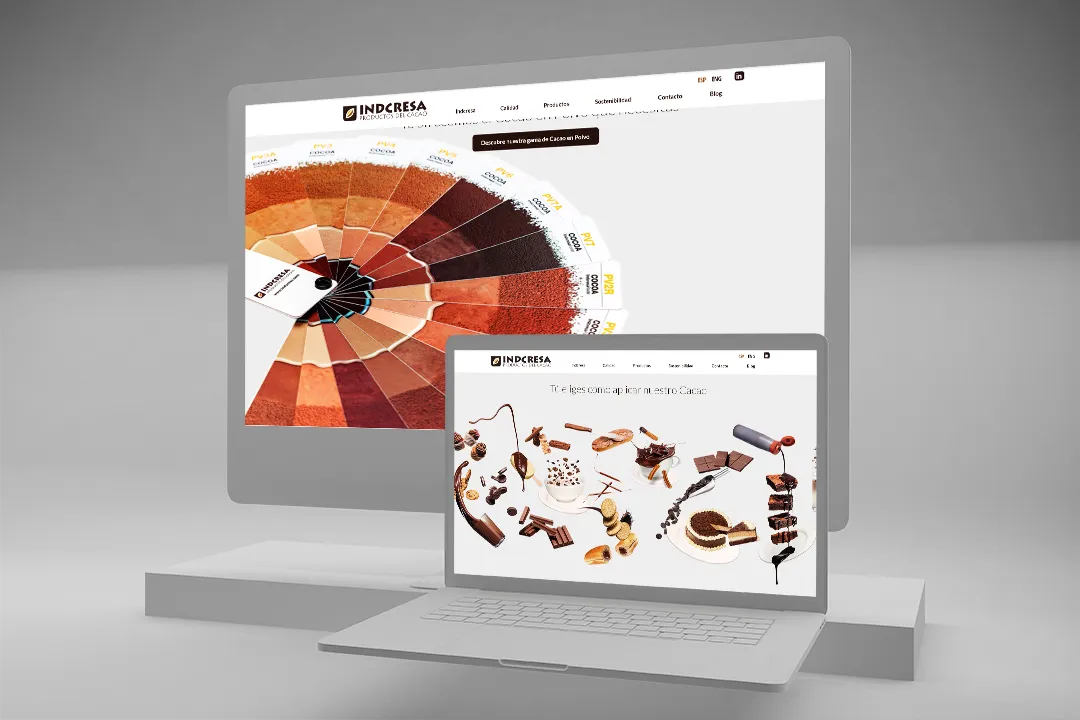 diseño web responsive - Brain Up Grup - Terrassa